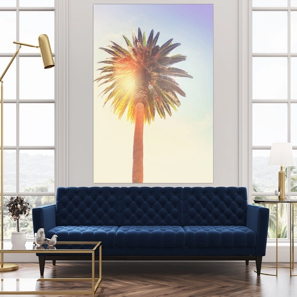 Sunny Palm Tree