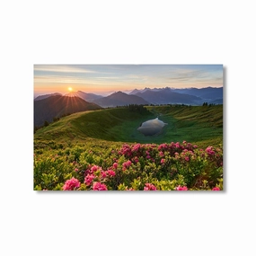 Sunrise in the Allgu by Nenad Jovic framed mural artwork