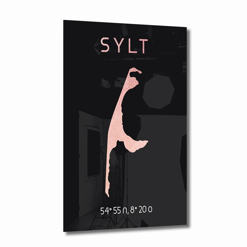 Sylt Coords Ros on Acrylic framed mural artwork