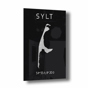 Sylt Coords Silver on Acrylic framed mural artwork