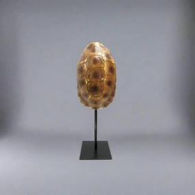 Taco Tortoise decorative home ornament