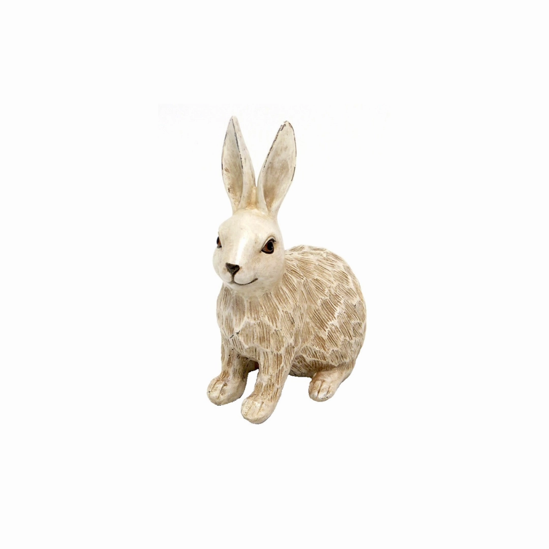 Talula bunny
