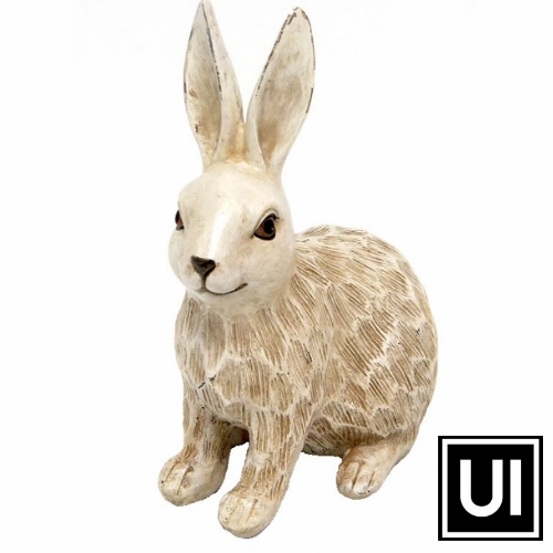 Talula bunny
