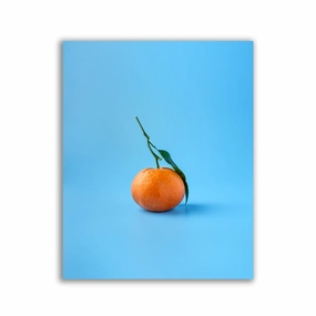 Tangerine framed mural artwork