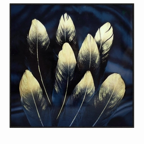 Tarfa's Feathers Tempered Glass Art artistic wall mural