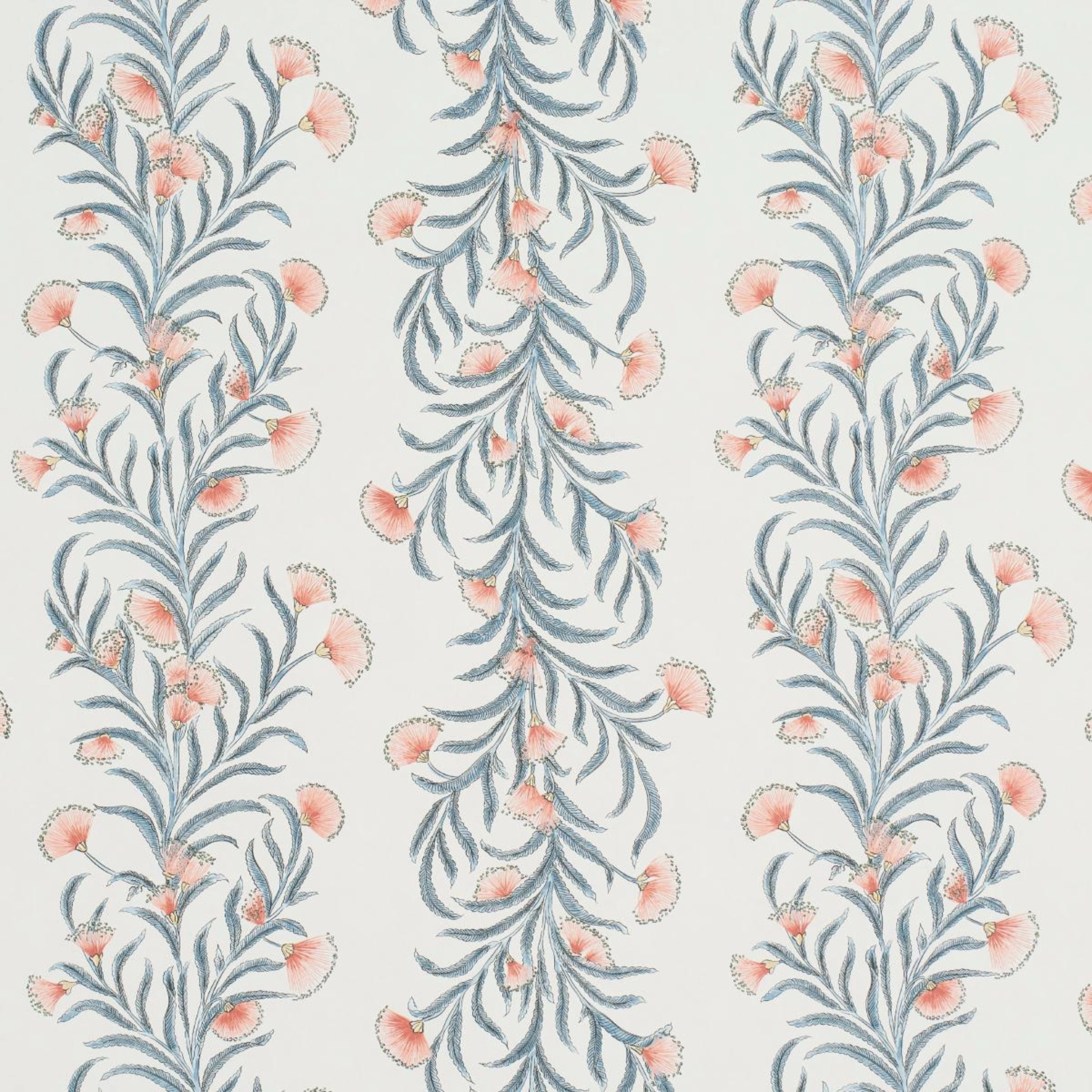 Tasmanian Mimosa Wallpaper