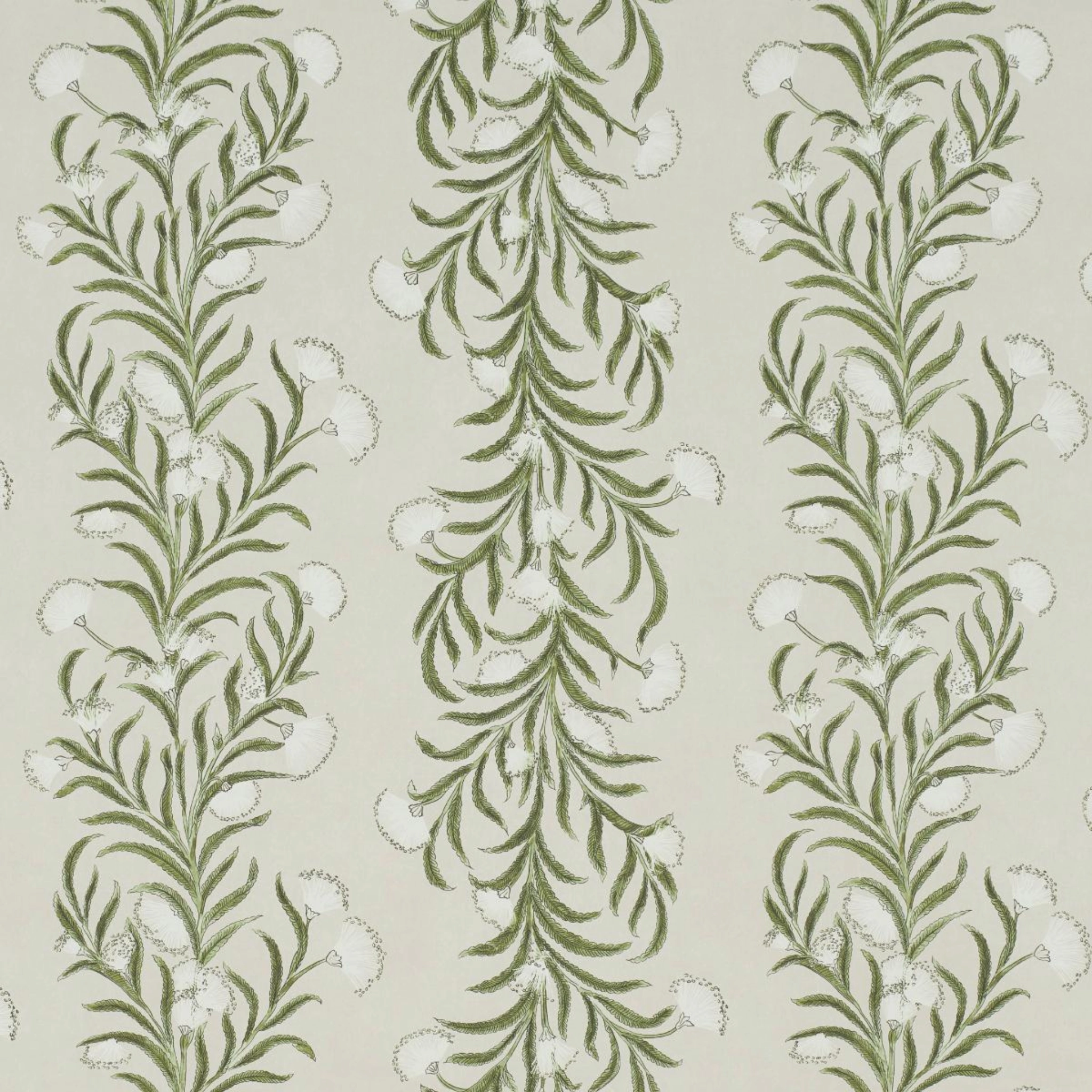 Tasmanian Mimosa Wallpaper paper wall covering