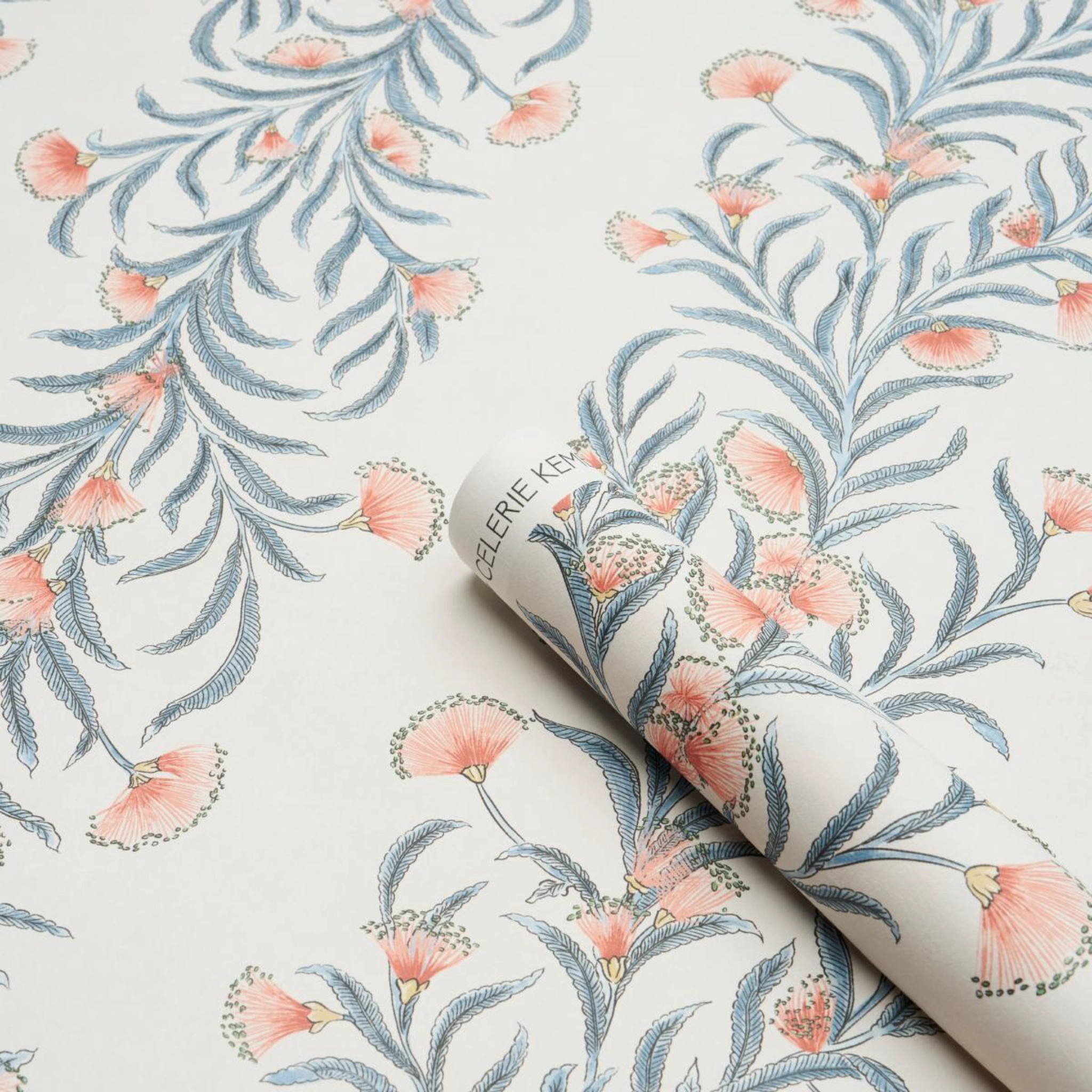 Tasmanian Mimosa Wallpaper
