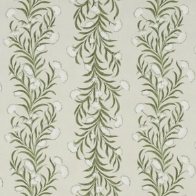 Tasmanian Mimosa Wallpaper paper wall covering