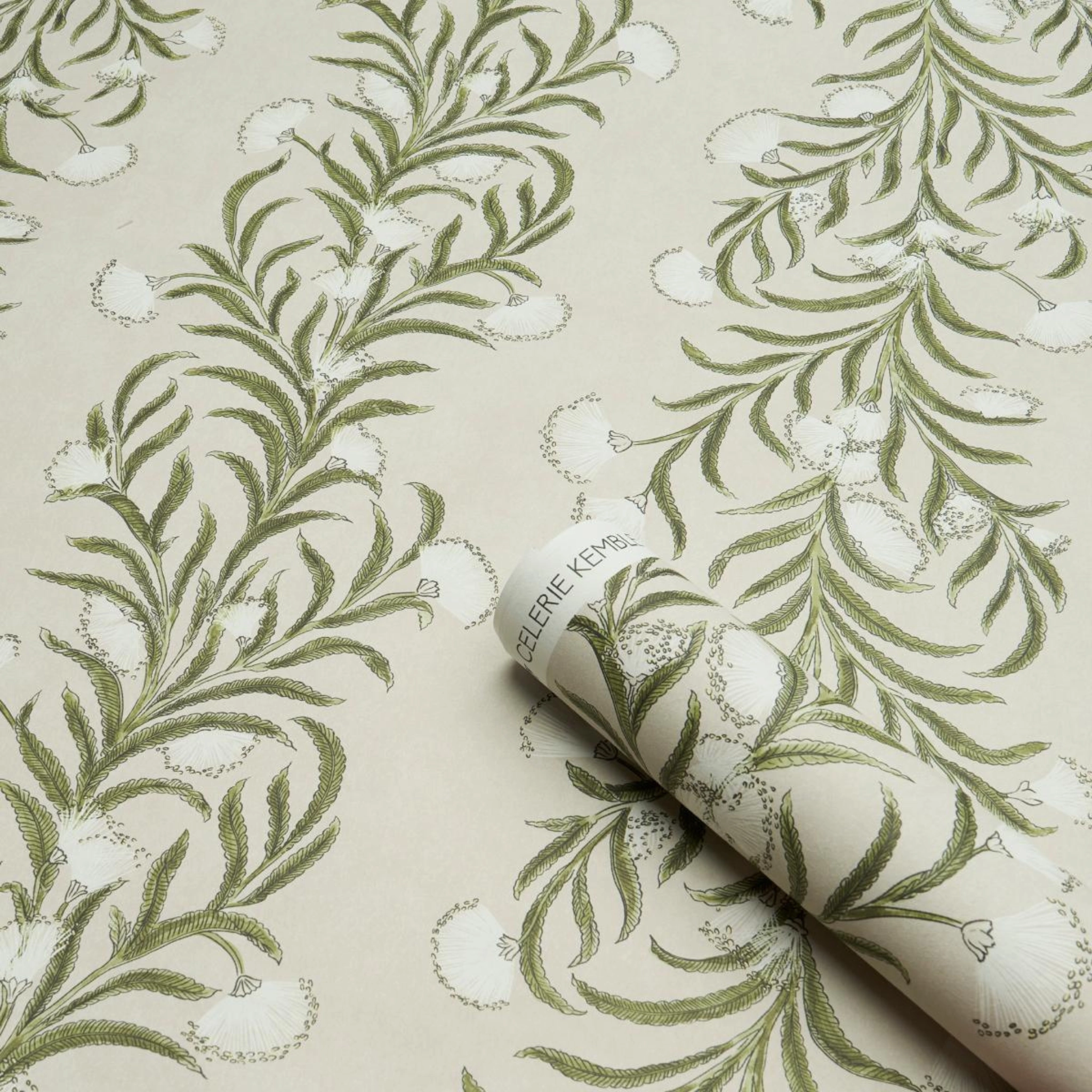 Tasmanian Mimosa Wallpaper
