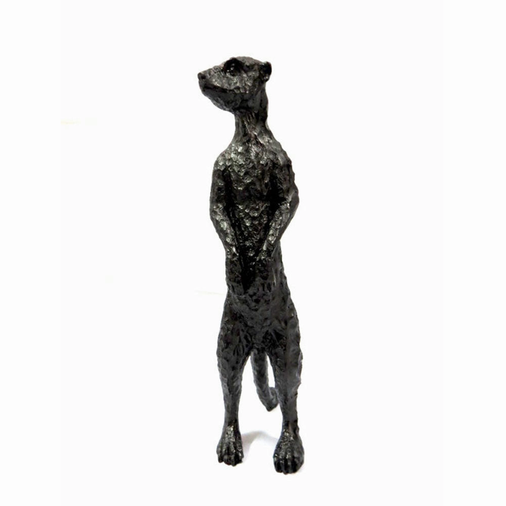 Tavi Meerkat