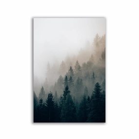 The Fog by Philipp Pilz framed mural artwork