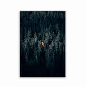 The One Tree by Philipp Pilz framed mural artwork