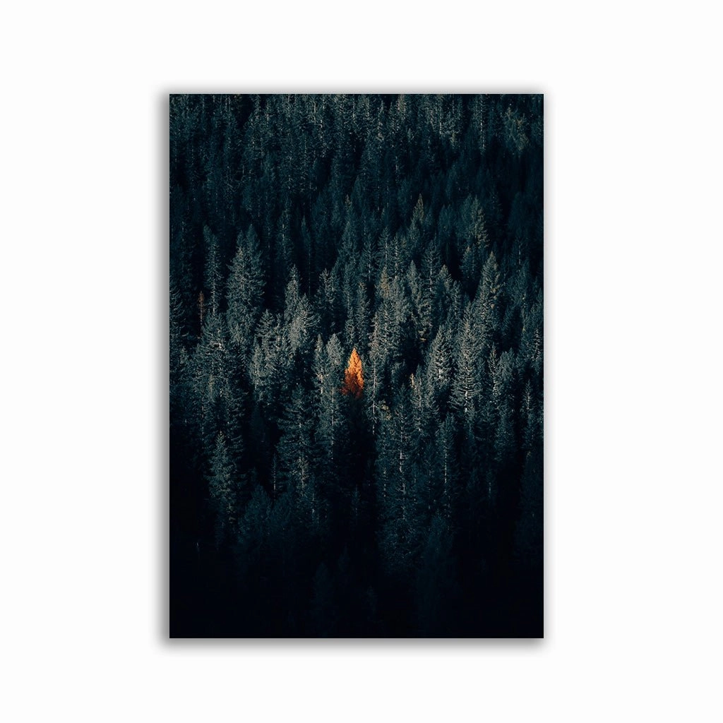 The One Tree by Philipp Pilz framed mural artwork