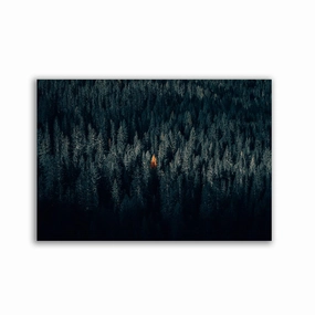 The One Tree Horizontal - by Philipp Pilz framed mural artwork