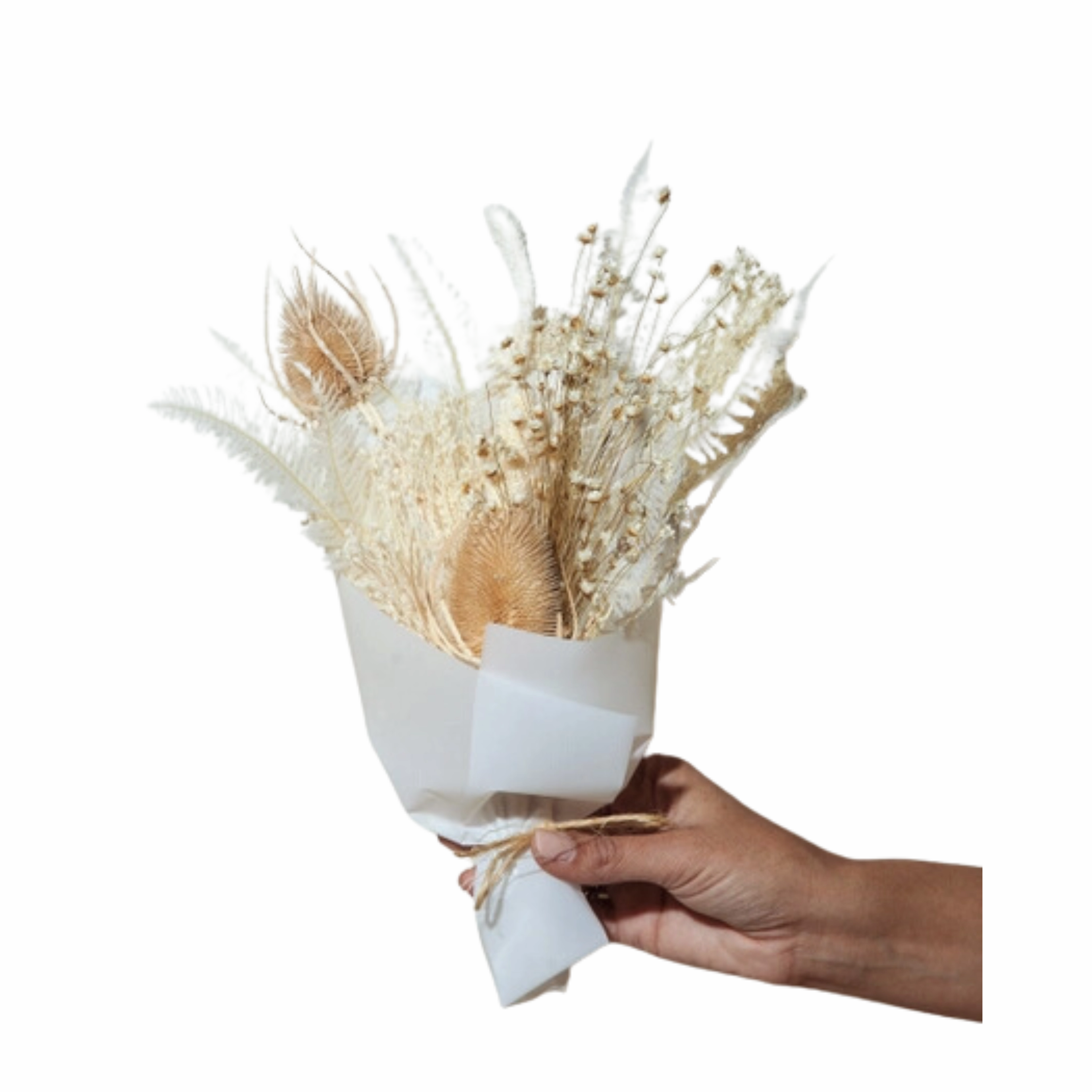 The Snow Petite Dried Floral Bouquet