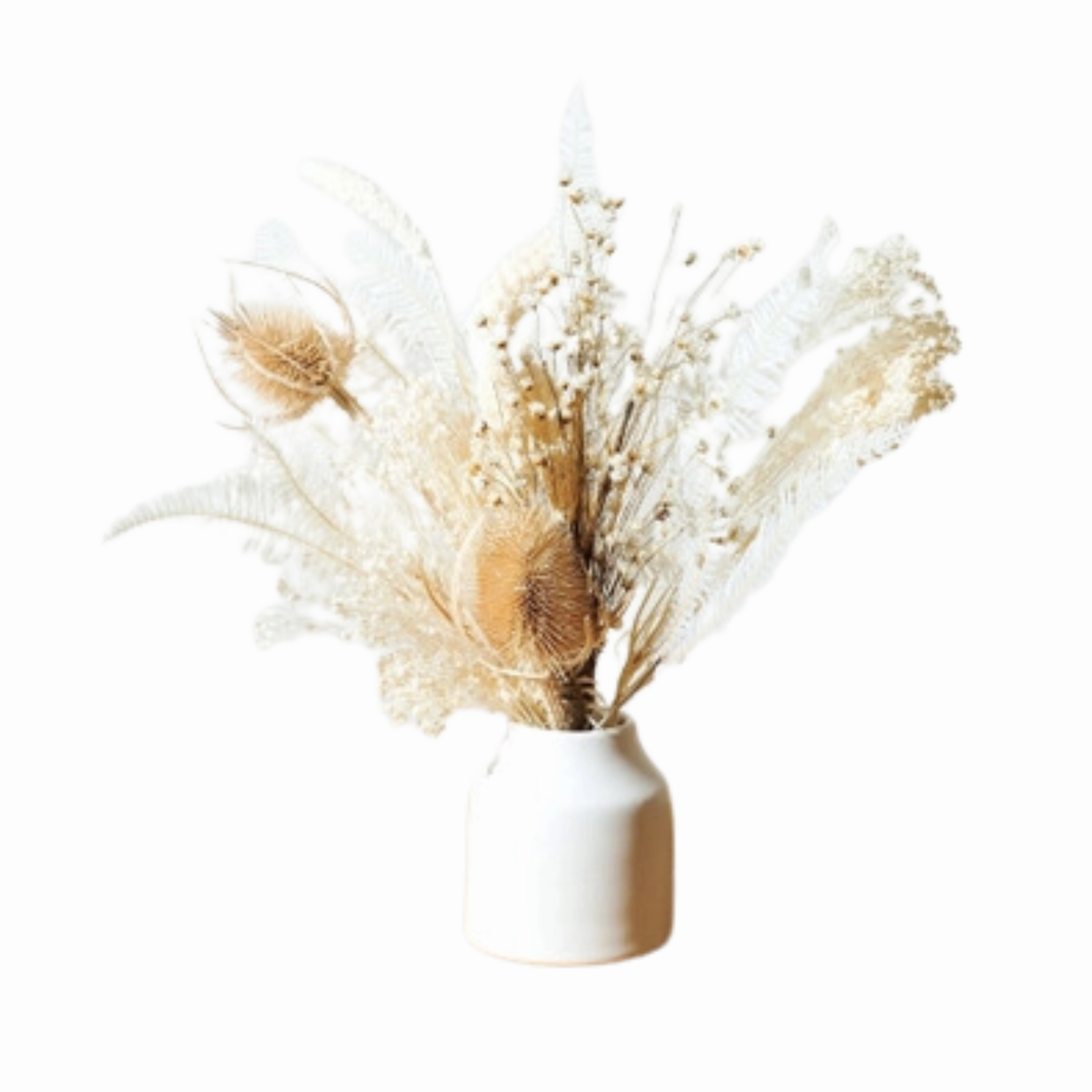 The Snow Petite Dried Floral Bouquet minimalist art object  