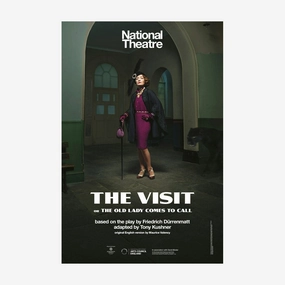 The Visit 2020 Print star pattern wallpaper
