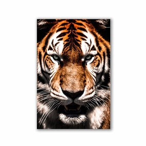 Tiger Portrait by Adrian Vieriu framed mural artwork