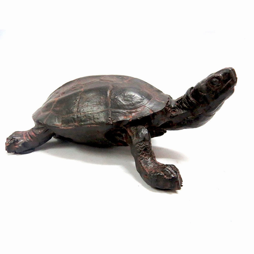 Tonka Turtle