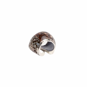 Tortoise Shell Napkin Rings mini desktop sculpture