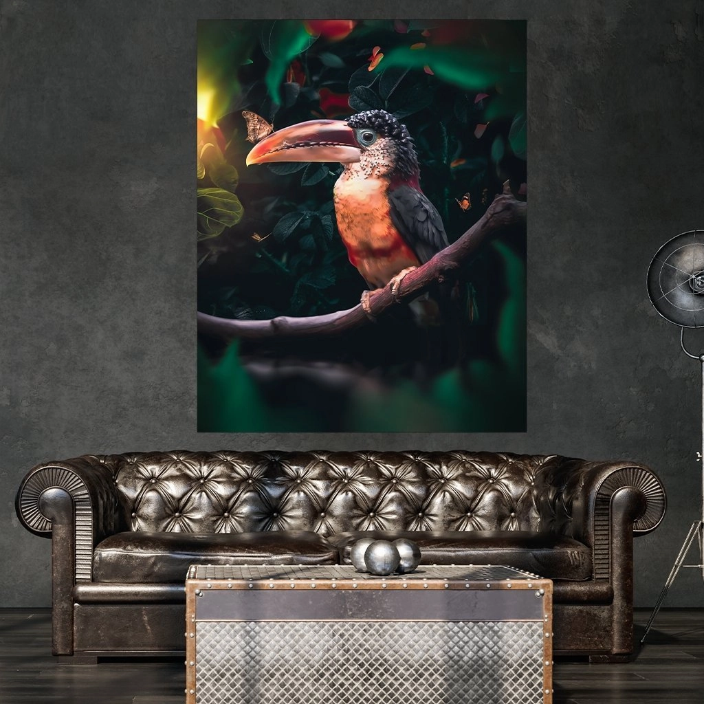 Toucan