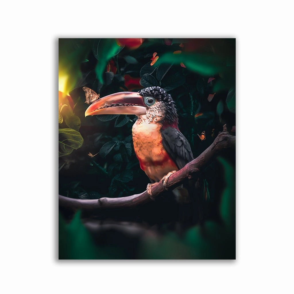 Toucan framed mural artwork