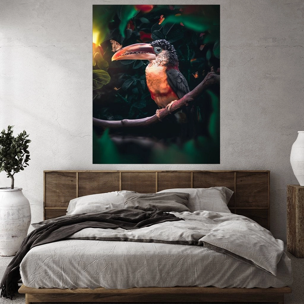 Toucan