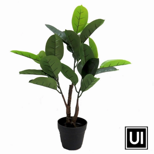 Tree rubber