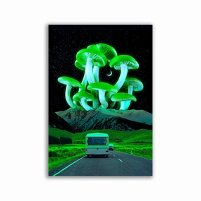 Trippyland by Yagedan framed mural artwork