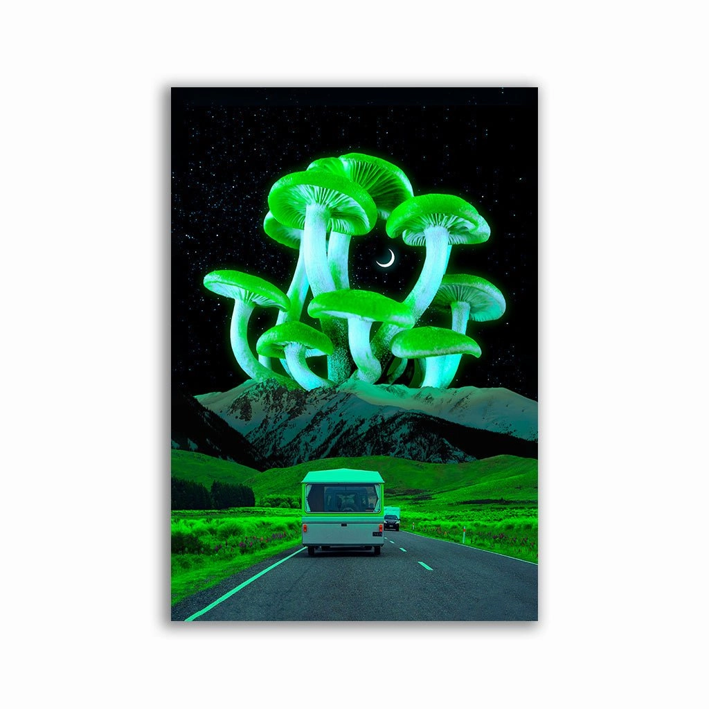 Trippyland by Yagedan framed mural artwork
