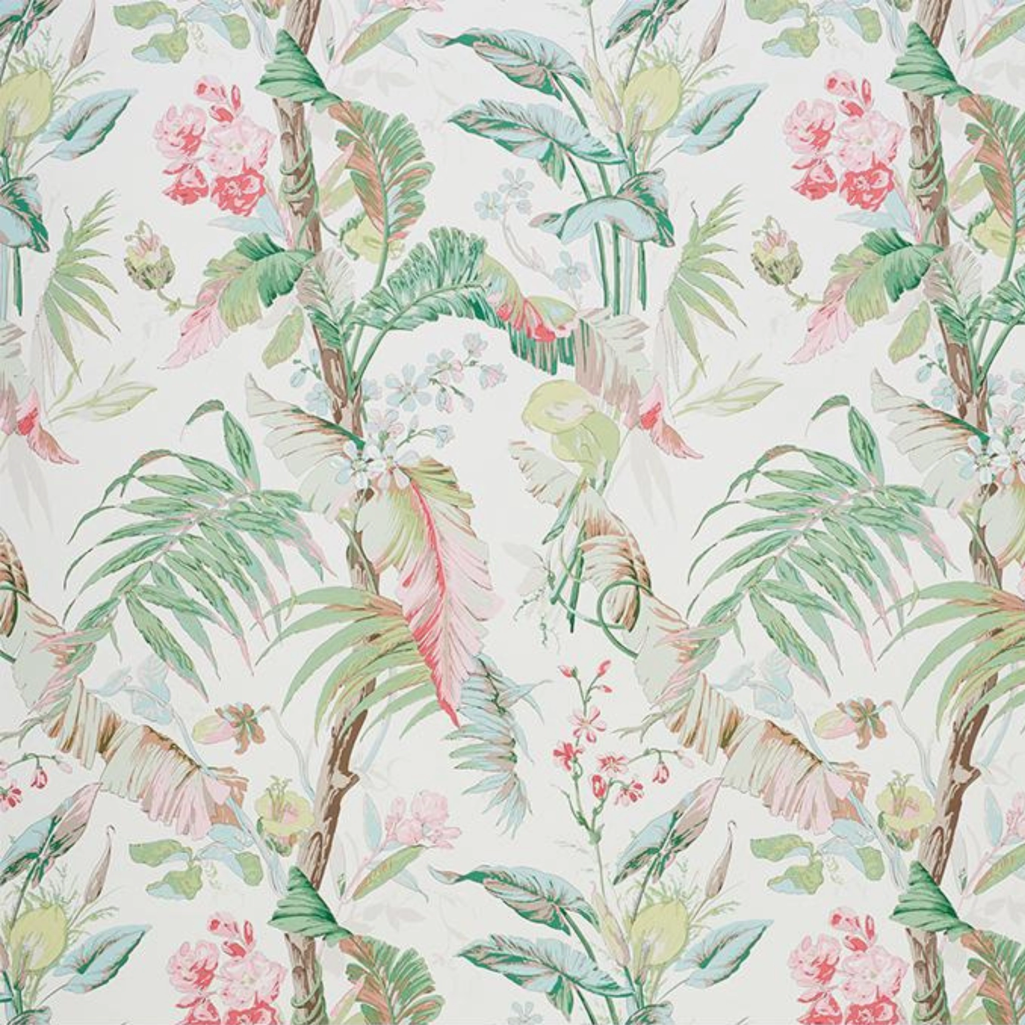 Tropique Wallpaper in Blush paper wall covering