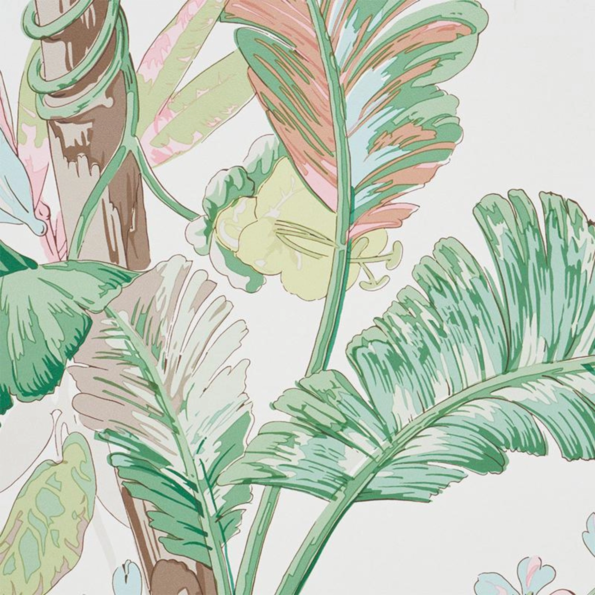 Tropique Wallpaper in Blush