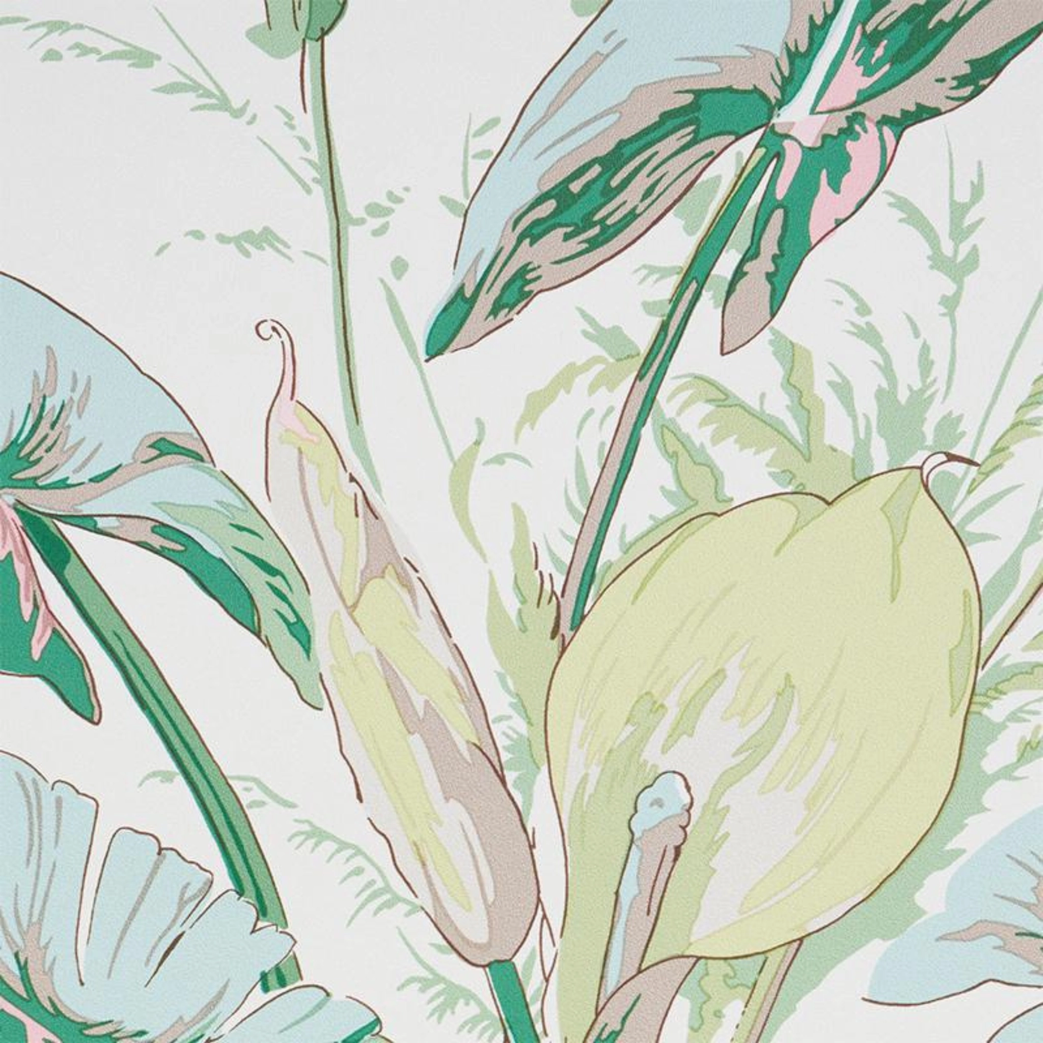 Tropique Wallpaper in Blush