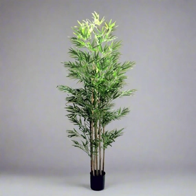 Trunk Bamboo Plant decorative home ornament