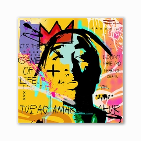 Tupac by Zuppini framed mural artwork
