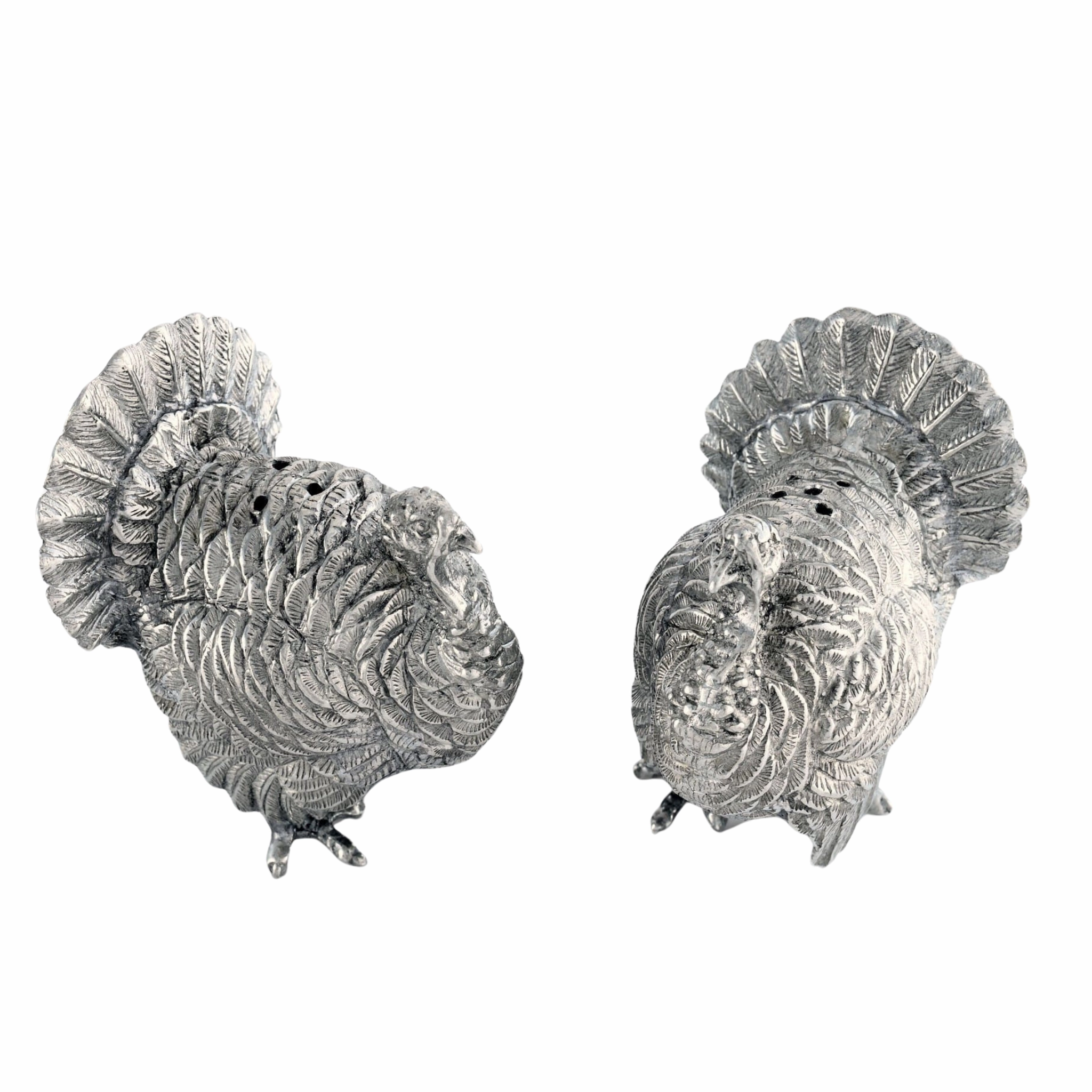 Turkey Salt & Pepper Set