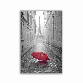 Umbrella - Paris Sightseeing framed mural artwork