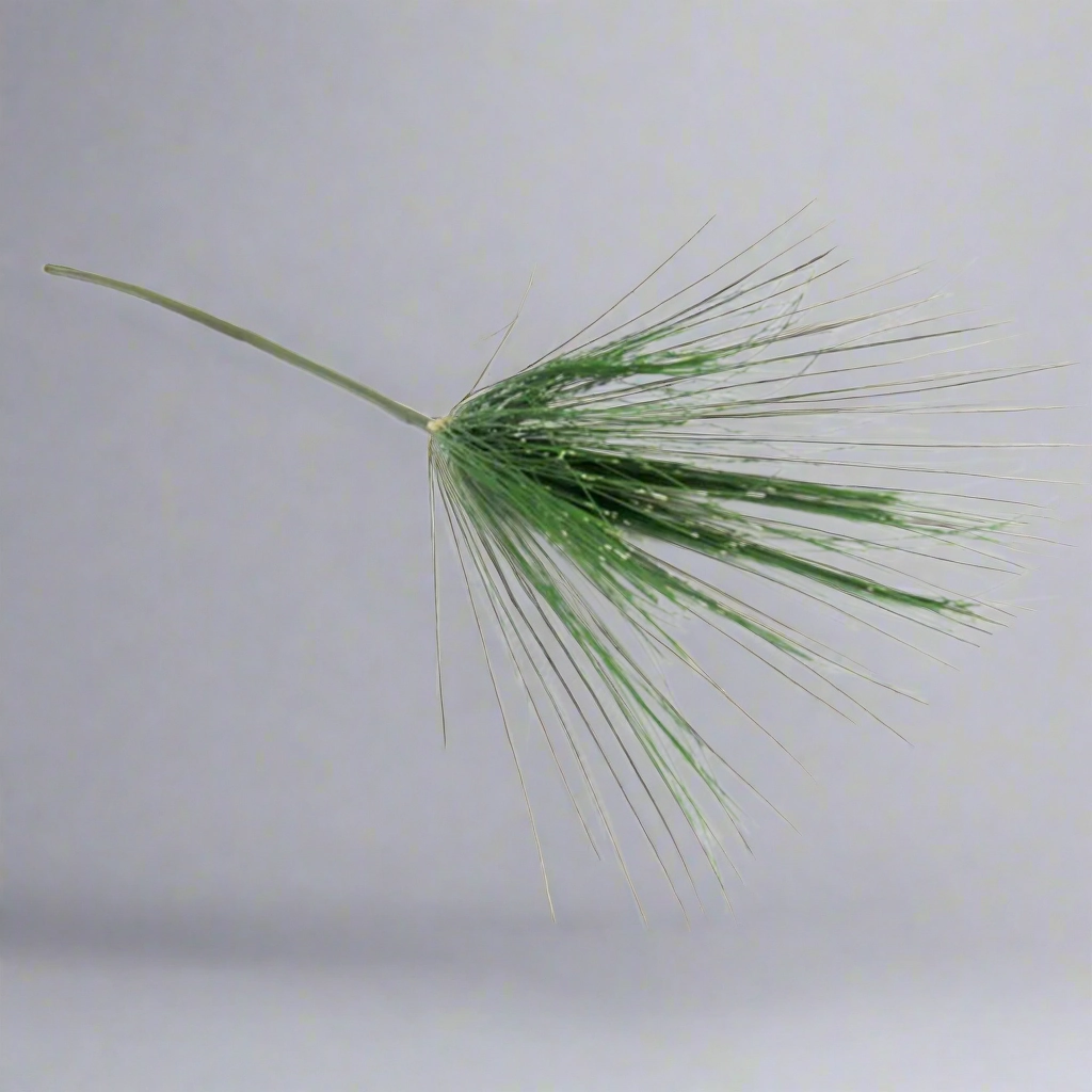 Umbrella Grass Stem decorative home ornament