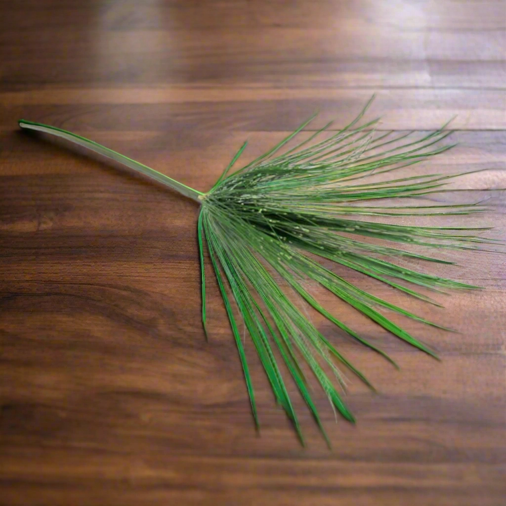 Umbrella Grass Stem