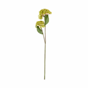 Viburnum Stem creative interior decor