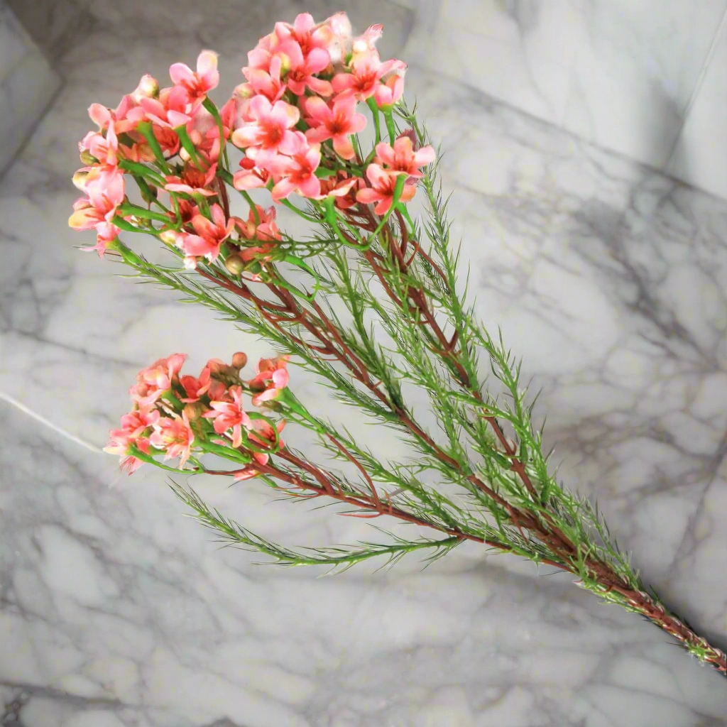 Wax Spray Pink