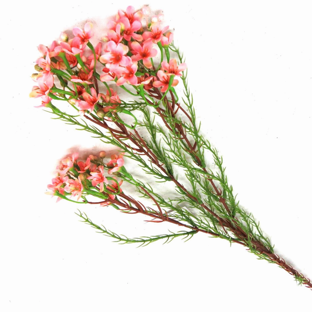 Wax Spray Pink