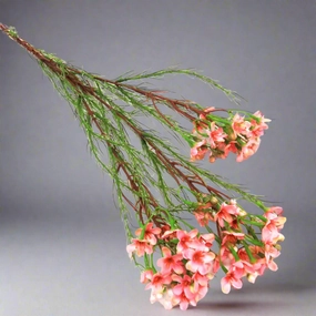 Wax Spray Pink decorative home ornament