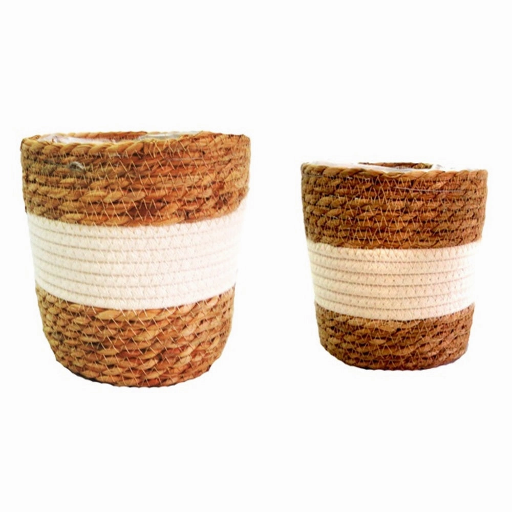 White lightning baskets S/2