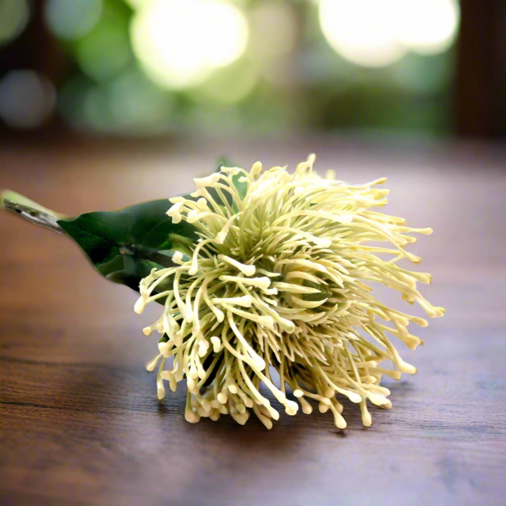 White Pincushion