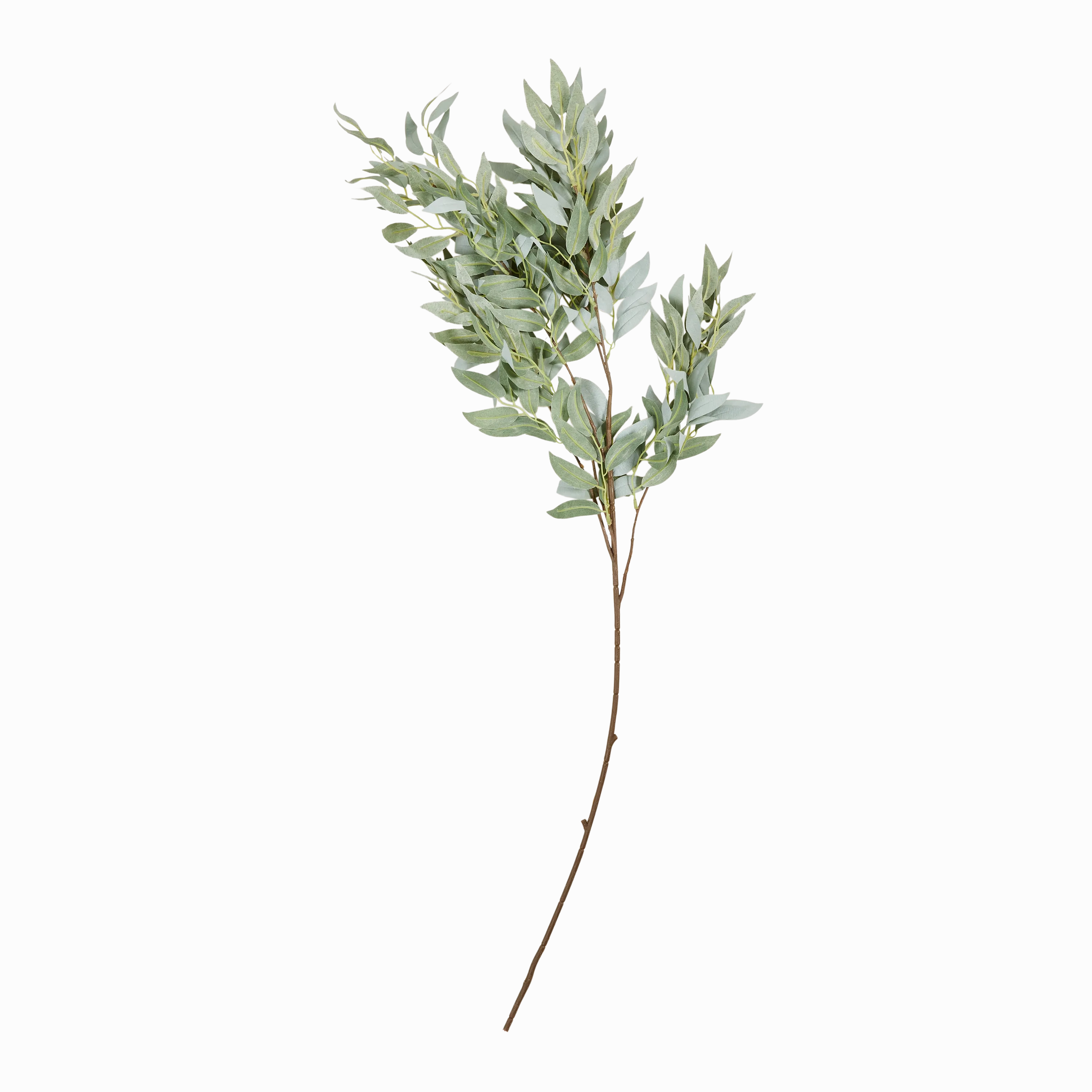 Willow Stem creative interior decor