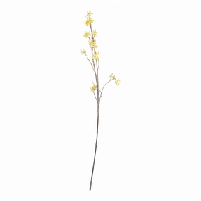 Witch Hazel Stem creative interior decor