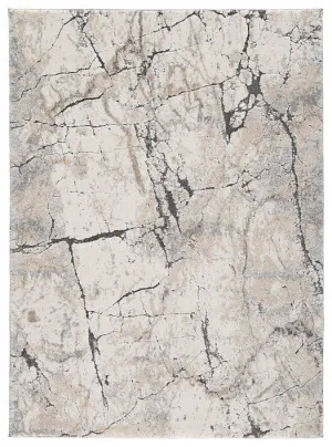 Wyscott 7'10" x 10'3" Rug neutral everyday carpet