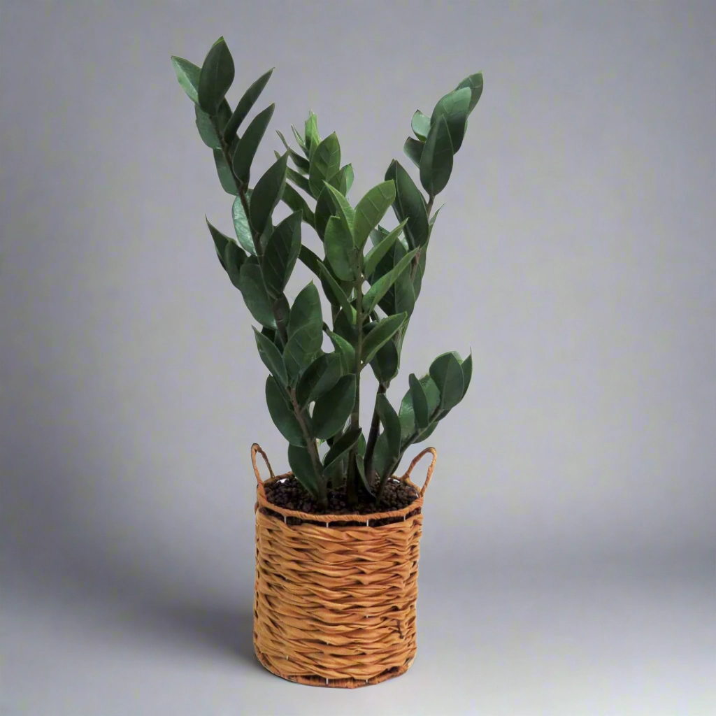 zamico decorative home ornament